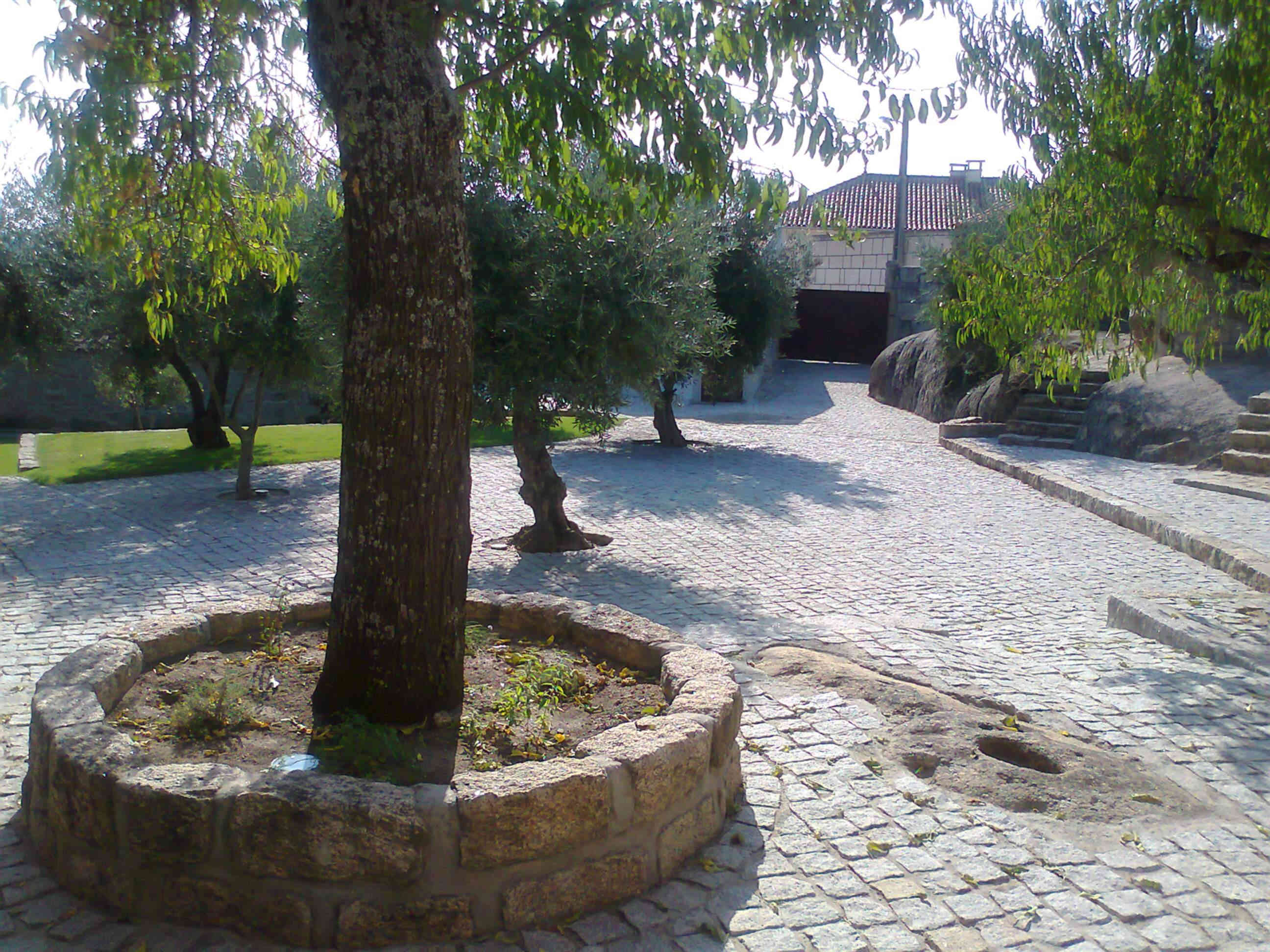 Pavimentação realizada na aldeia Histórica de Marialva. Pormenores de realização de extrema precisão e qualidade. Pedra granito amarelo no redondo da árvore. Lancil de pedra granito azul em escada.